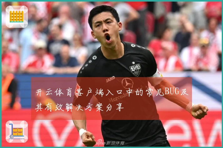 开云体育客户端入口中的常见BUG及其有效解决方案分享