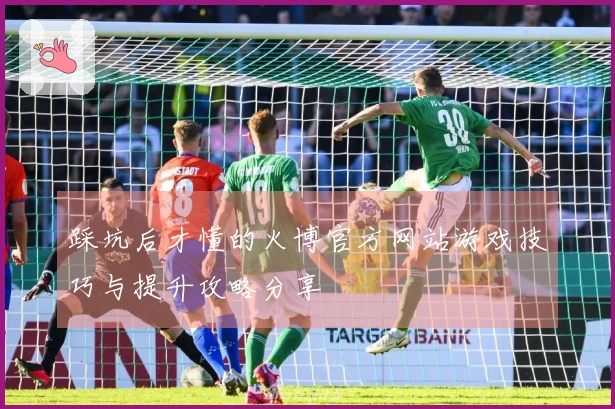 踩坑后才懂的火博官方网站游戏技巧与提升攻略分享