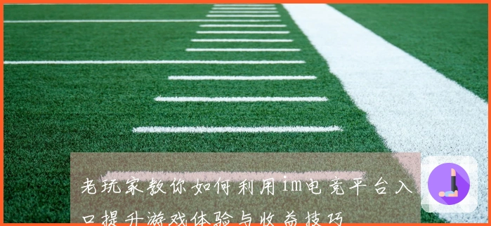老玩家教你如何利用im电竞平台入口提升游戏体验与收益技巧