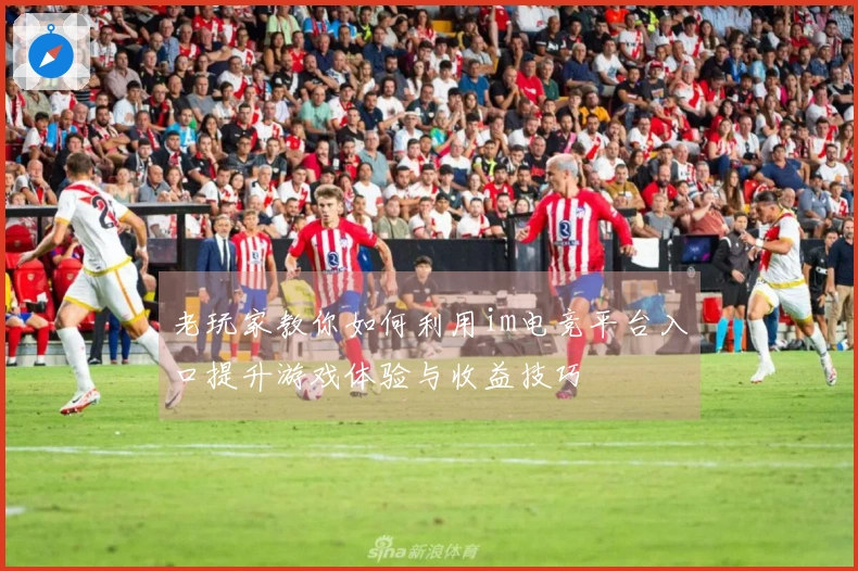 老玩家教你如何利用im电竞平台入口提升游戏体验与收益技巧